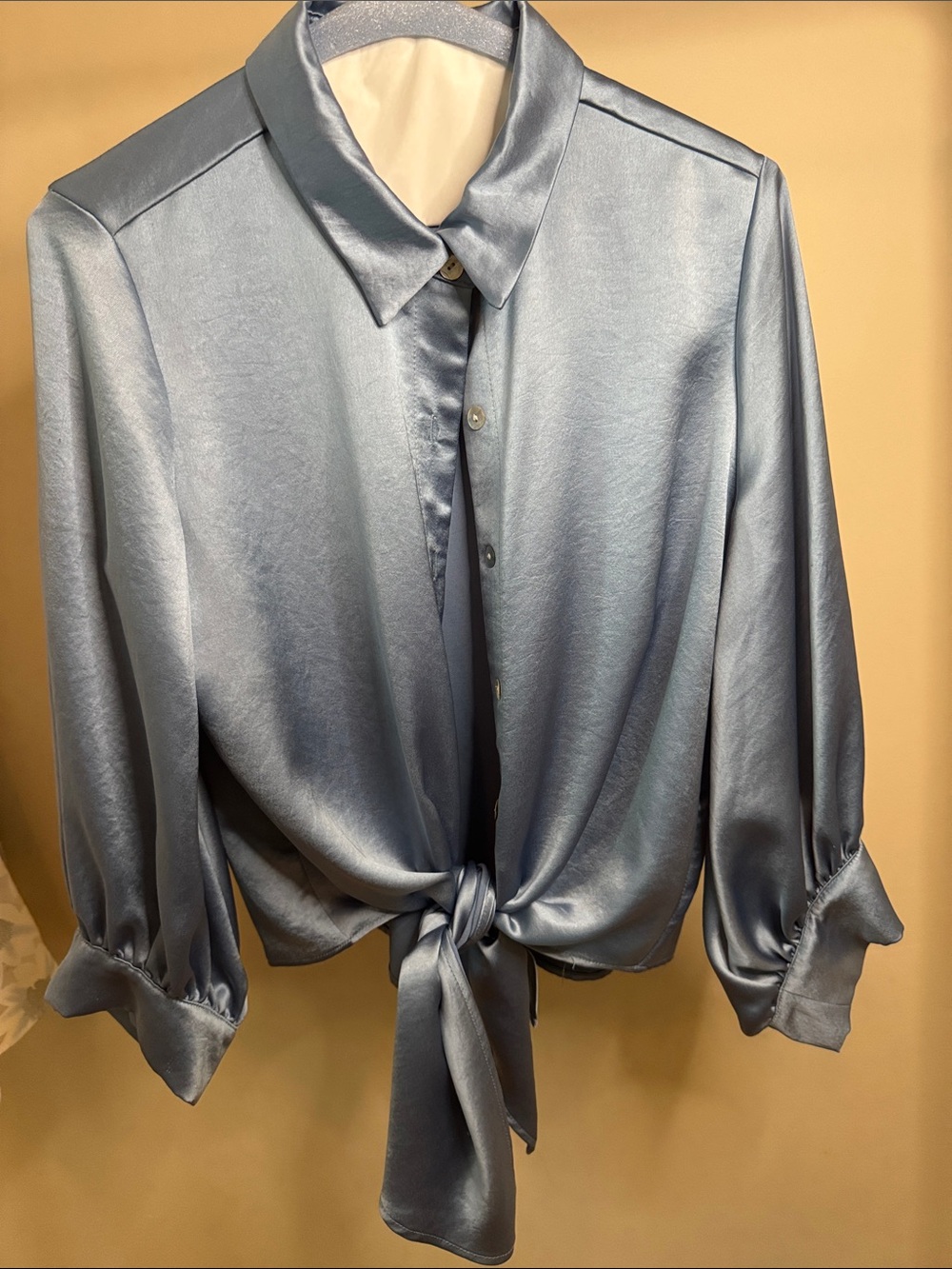 Fifteen Twenty Light Blue Satin Tie-Front Button Down Shirt